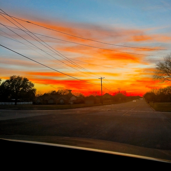 Meet your Posher, Kylie - Picture 1 of 1